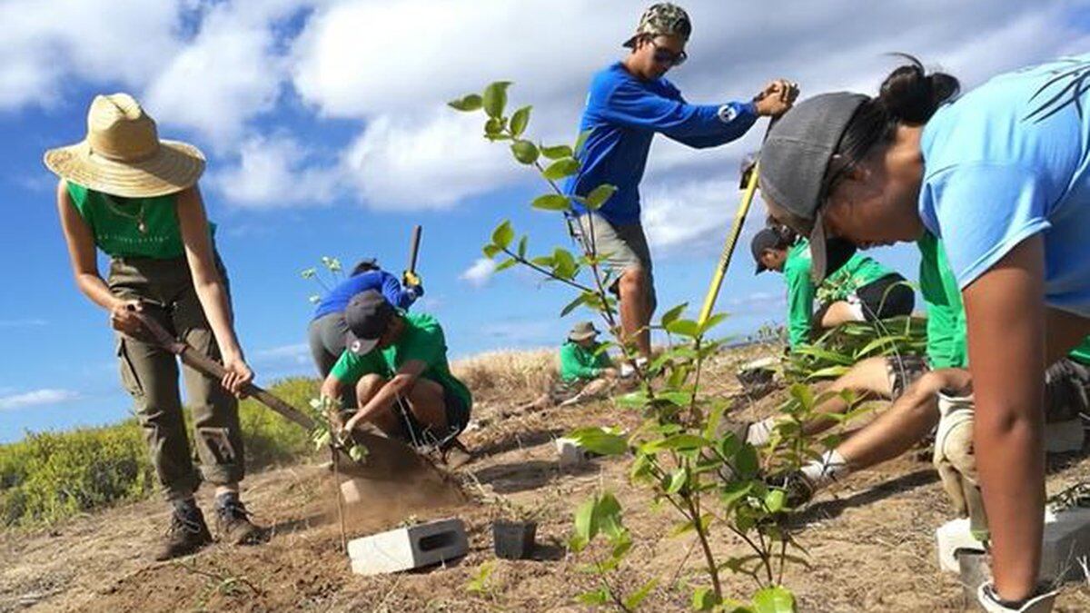 Kupu is the nonprofit on a mission to preserve the land while empowering youth.