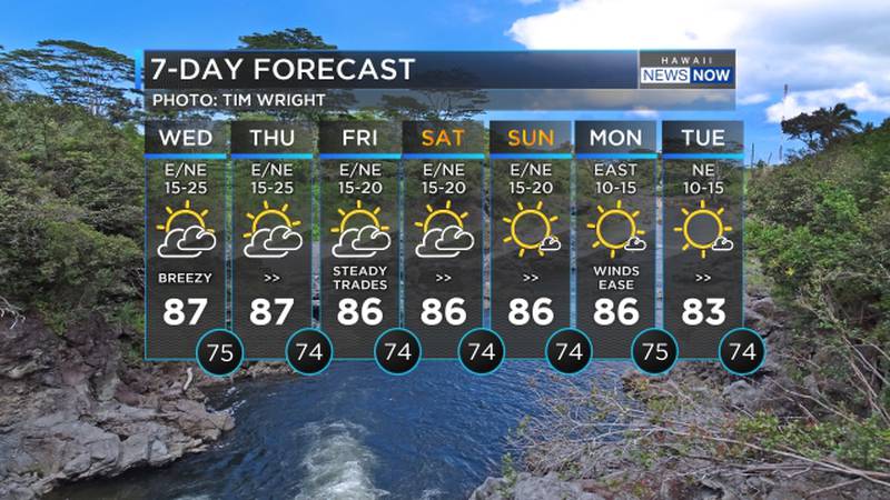 Wednesday forecast