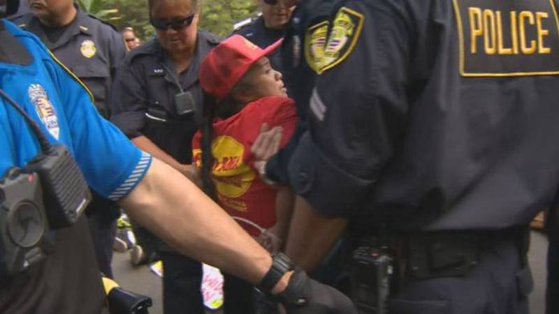 At least 29 protesters were arrested Thursday morning as they blocked construction equipment...