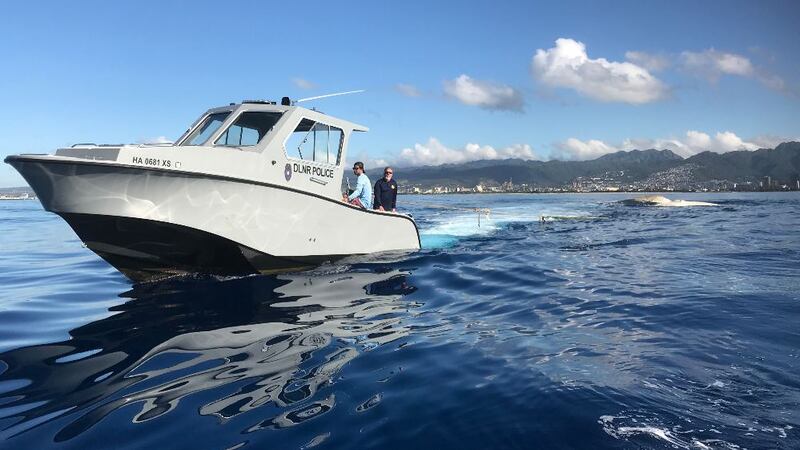 Crews towed the the massive whale carcass out to sea Saturday.