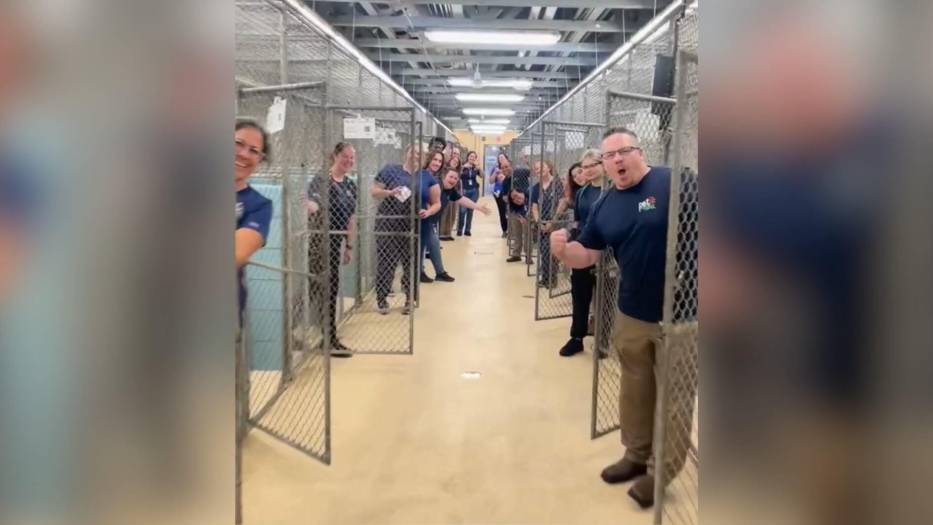 Staff cheers in front of empty dog cages after adoption event cleared out their kennel - Vimarsana News