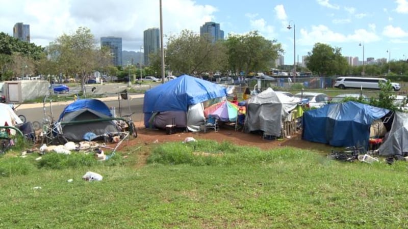 (Image: Hawaii News Now)
