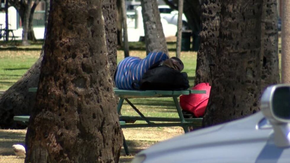 (Image: Hawaii News Now)