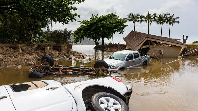 (Image: Hawaii News Now)
