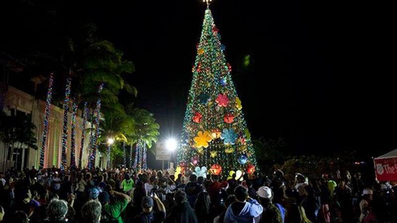 Kapolei City Lights returns for it's 21st year of holiday cheer.