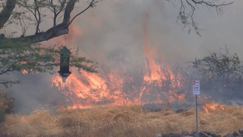 A group of Hawaii state lawmakers tasked with identifying causes of wildfires and prevention...