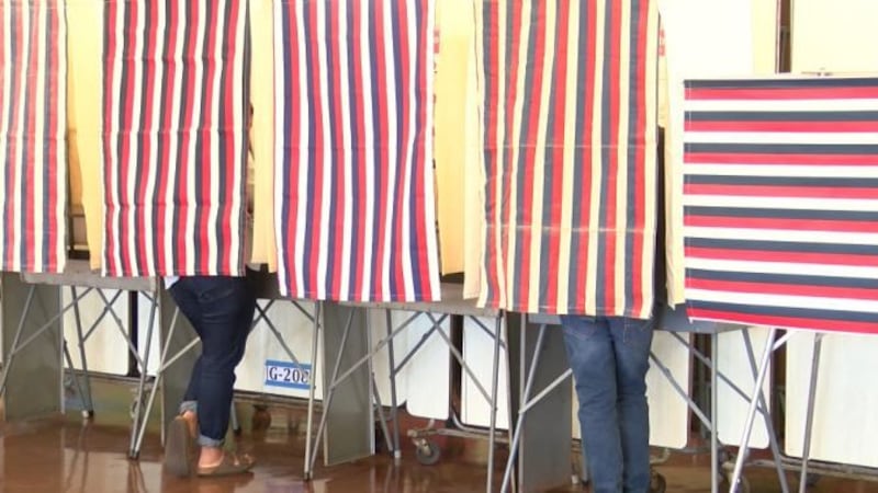 After months of meetings and statewide public hearings, the people rewriting Hawaii’s election...