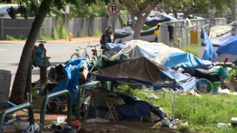 (Image: Hawaii News Now)