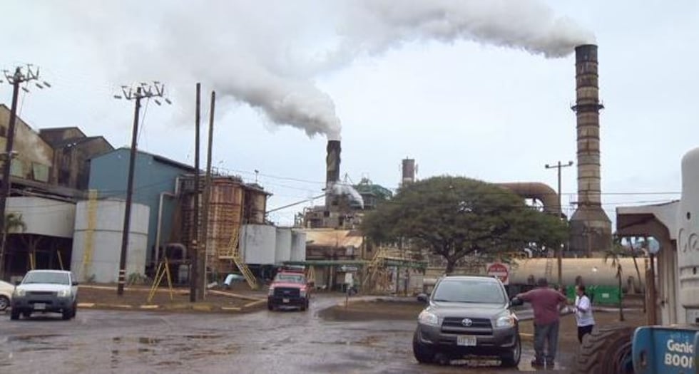(Image: Hawaii News Now)