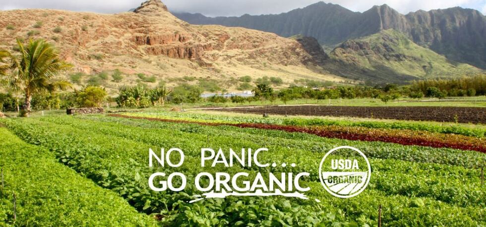 (Image: Mao Organic Farms/website)