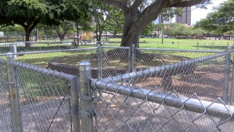 (Image: Hawaii News Now)