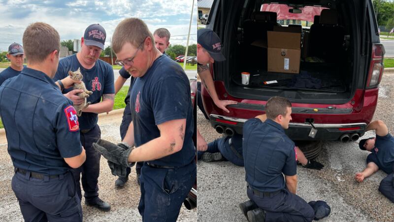 Texas firefighters saved a kitten caught in the undercarriage of an SUV this week.
