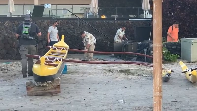 Around 3 a.m. Saturday, Vera Cruz ventured down to the shore to assess the damage — where he...