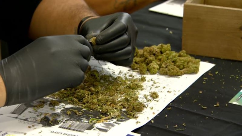 Medical Marijuana (file image)