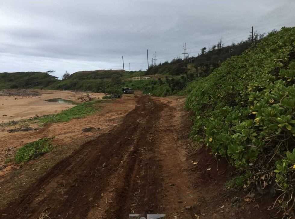 The homeless were hidden in the brush along the bike path. (Image: Kauai Police Department)