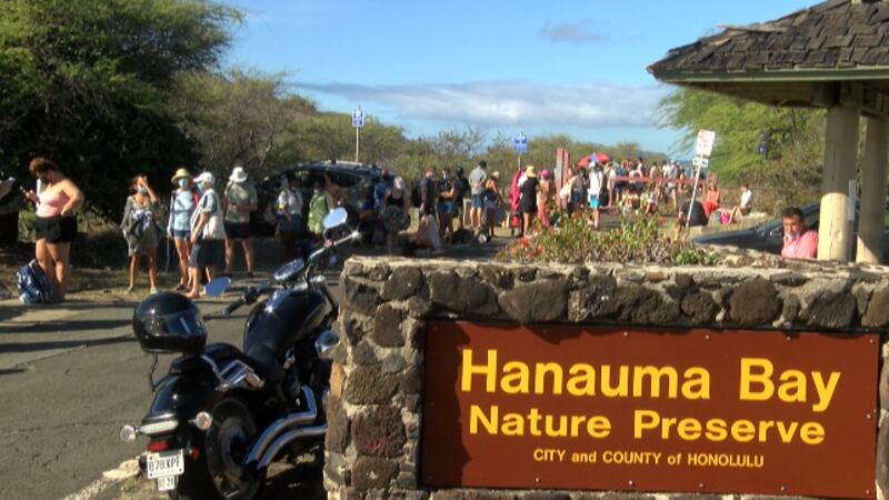 The line to get into Hanauma Bay Friday morning.