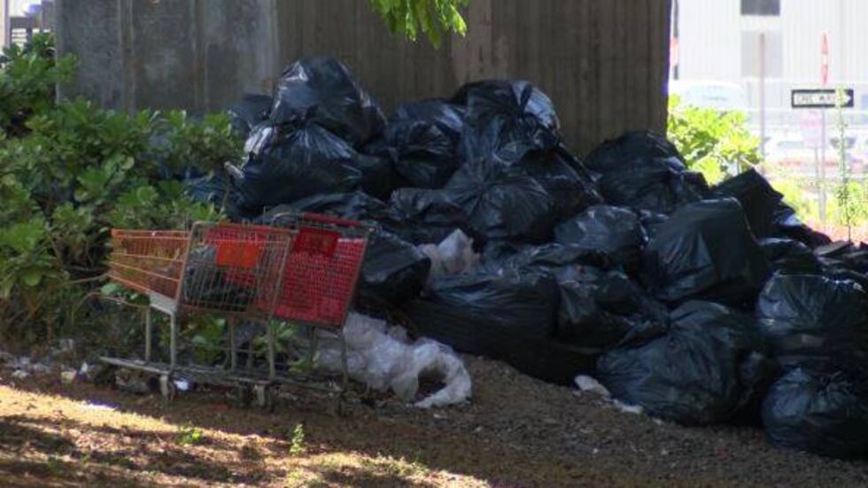 (Image: Hawaii News Now)