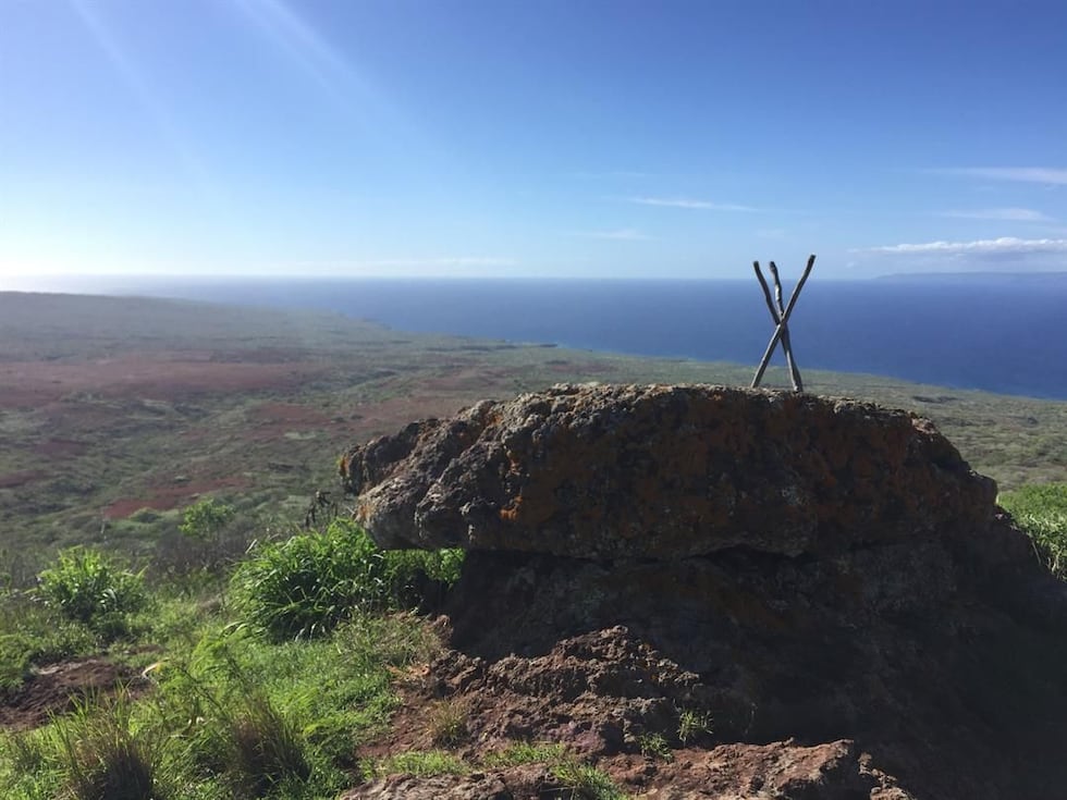 (Image: Hawaii News Now)