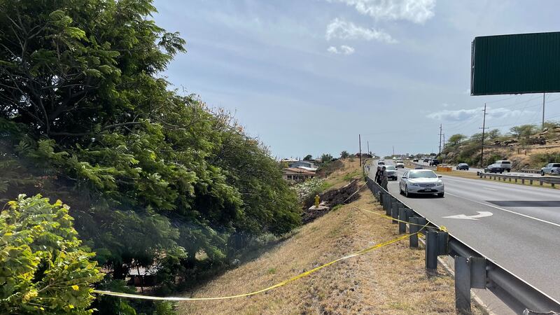 Authorities are investigating after human remains were found at the site of a brush fire on...