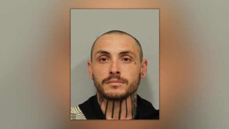 Jonah Farmer, 26, of Ocean View faces numerous offenses, including second-degree attempted...