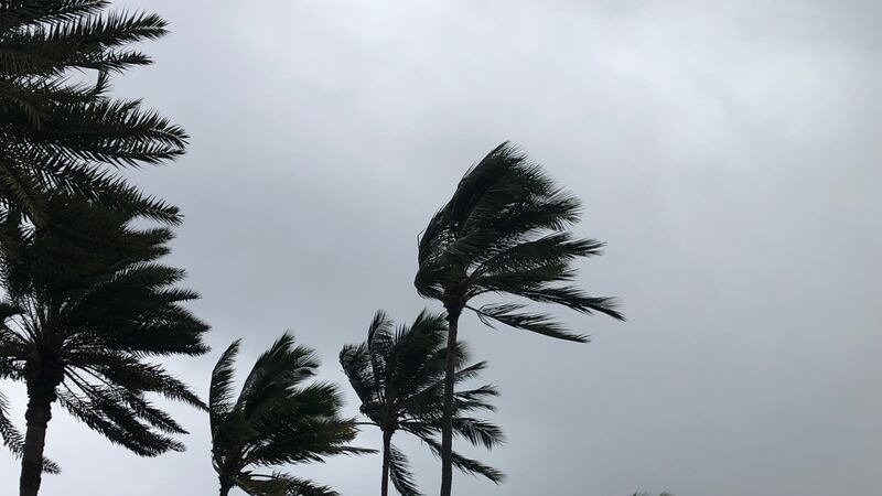 HNN Weather File Image