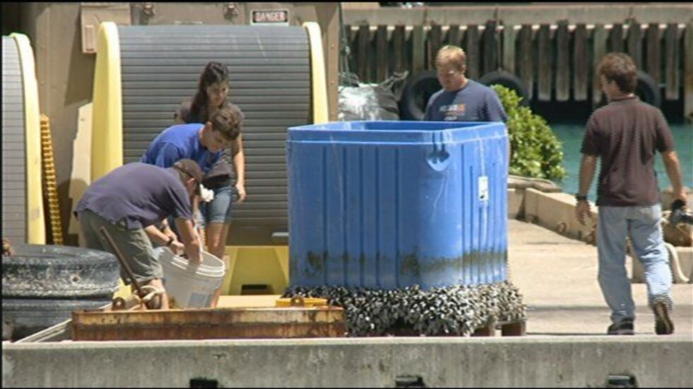 Researchers pulled a mysterious blue box out of the ocean near Sea Life Park