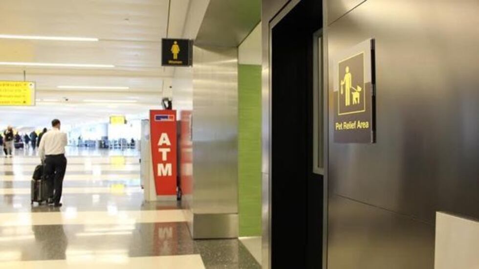 (Image: JFK International Airport)