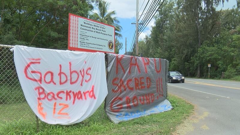 Opponents of a controversial park redevelopment project have been protesting and sign-waving...