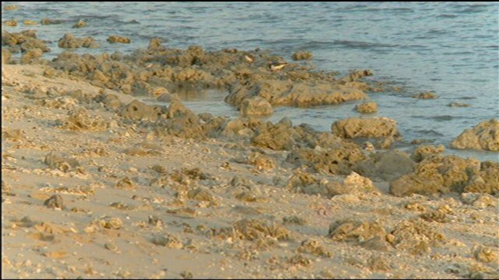 The rocky coastline at Ala Moana Beach