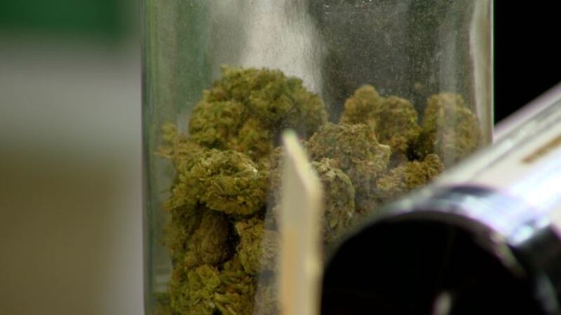 Medical marijuana is prescribed to thousands of patients annually.