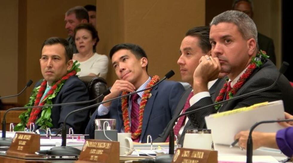 (Image: Hawaii News Now)