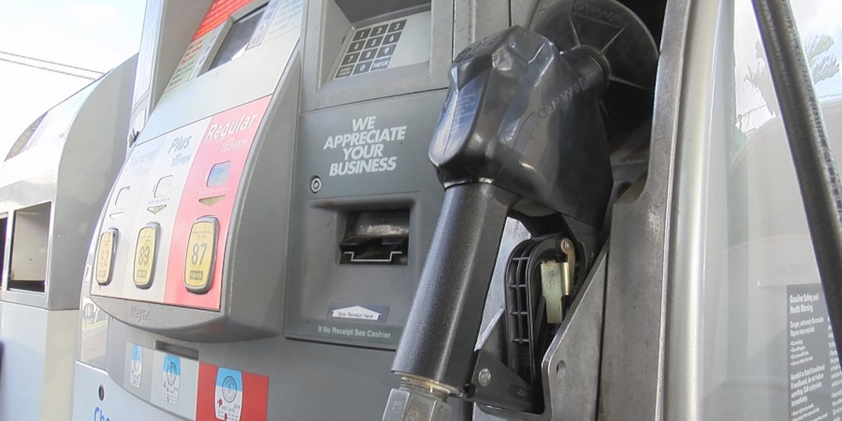 Hawaii gas prices hold steady as cost continues to fall across the country Hawaii gas prices hold steady as cost continues to fall across the country