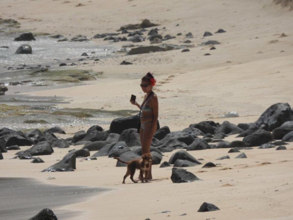 Images captured the pair getting dangerously close to the resting animal.