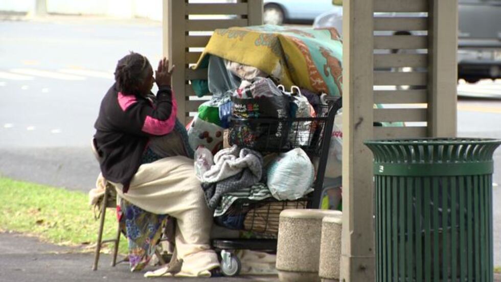 (Image: Hawaii News Now)