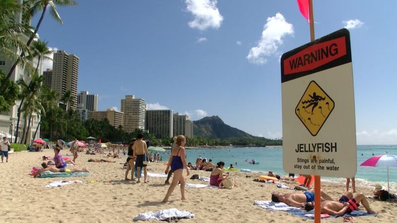 (Image:Hawaii News Now)