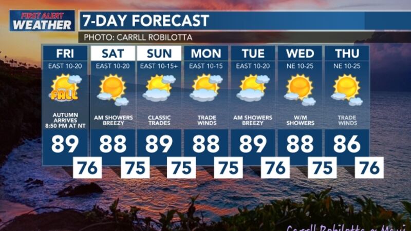 7-Day Forecast