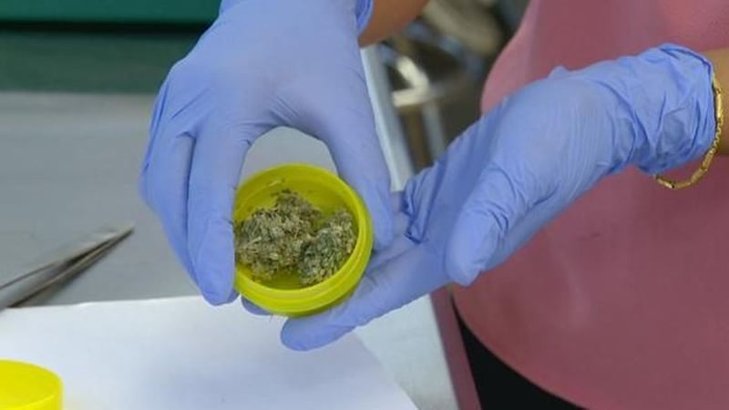There are strict laws in Hawaii governing the testing of medical marijuana.