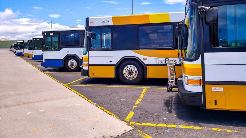 Honolulu city buses