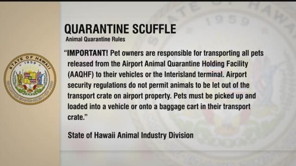 Graphic: Hawaii News Now