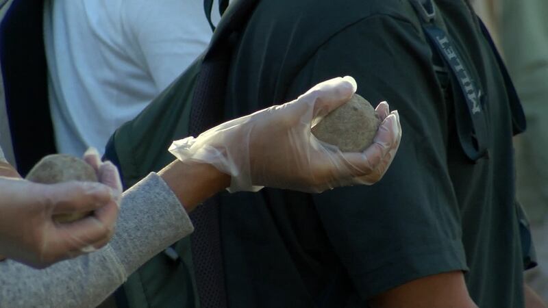 A monk seal frolicking in the Ala Wai in March is just one sign water quality is improving...