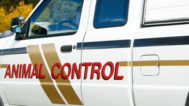 West Virginia woman charged after numerous animals found dead, authorities said.