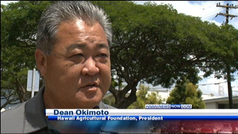 Dean Okimoto