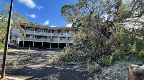 'A lot of us lost everything': Maui teachers grappling with wildfire impacts demand more support - Vimarsana News
