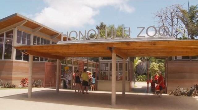 Honolulu Zoo to host annual summer concert series featuring award-winning artists - Vimarsana News