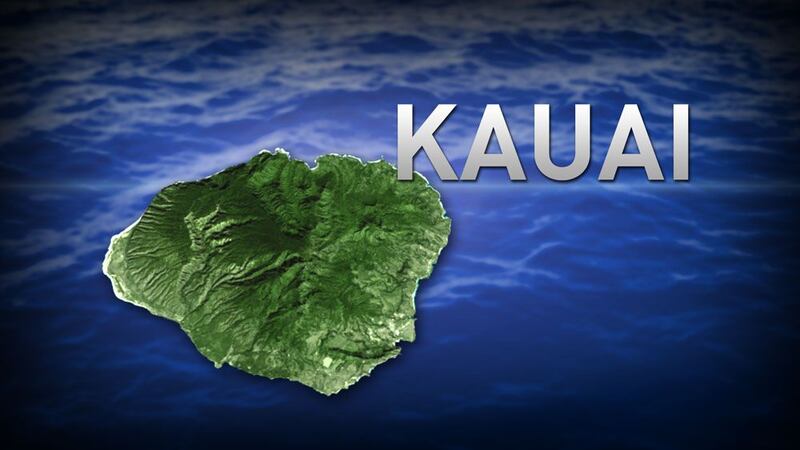 (Image: Hawaii News Now/File)