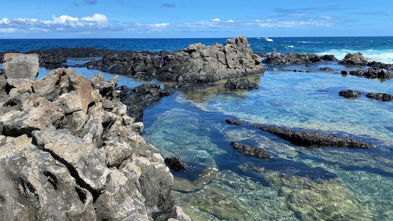 Makapuu Tide Pools
