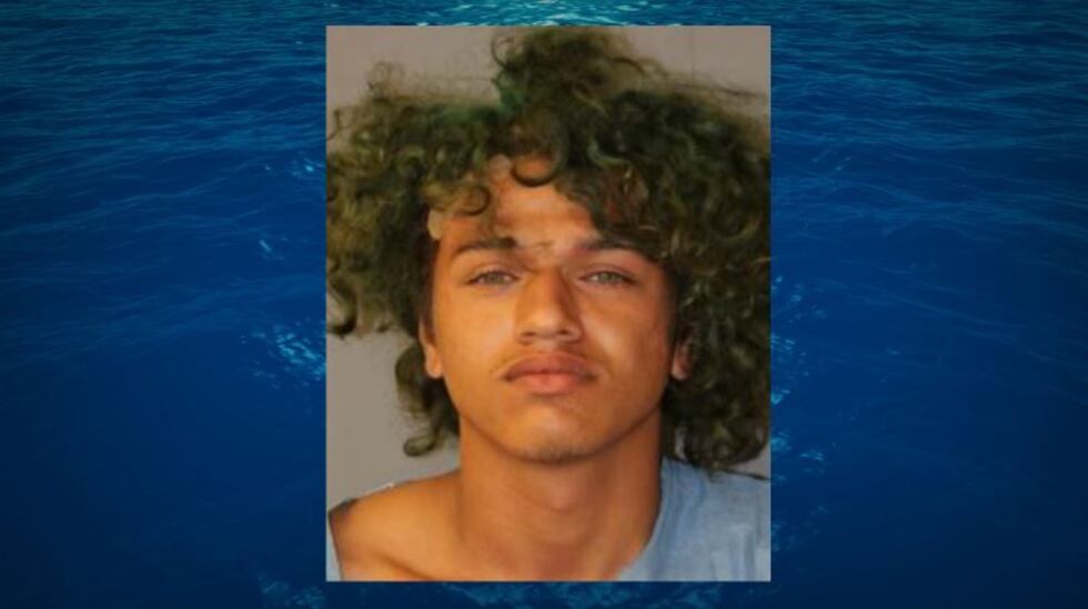 (Image: Hawaii News Now)