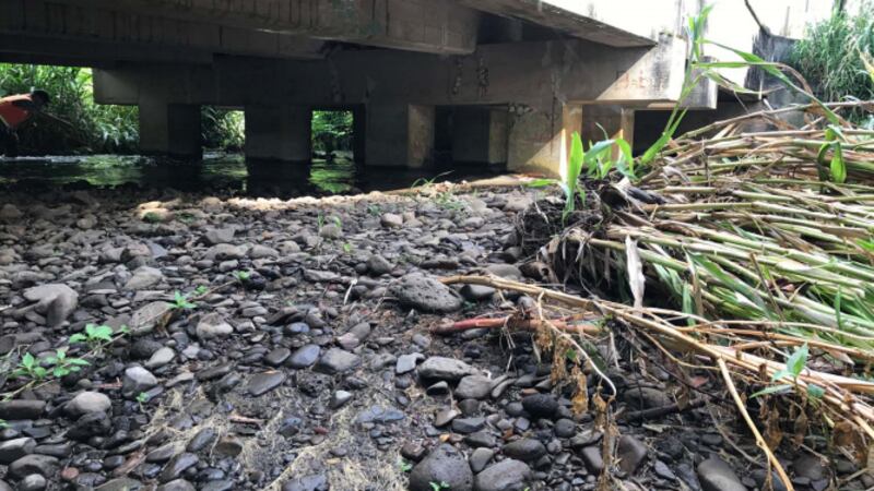 The city seeks the public's opinion on proposals to fix the aging Waiahole Stream bridge....