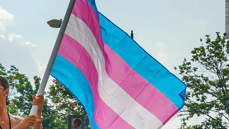 transgender flag