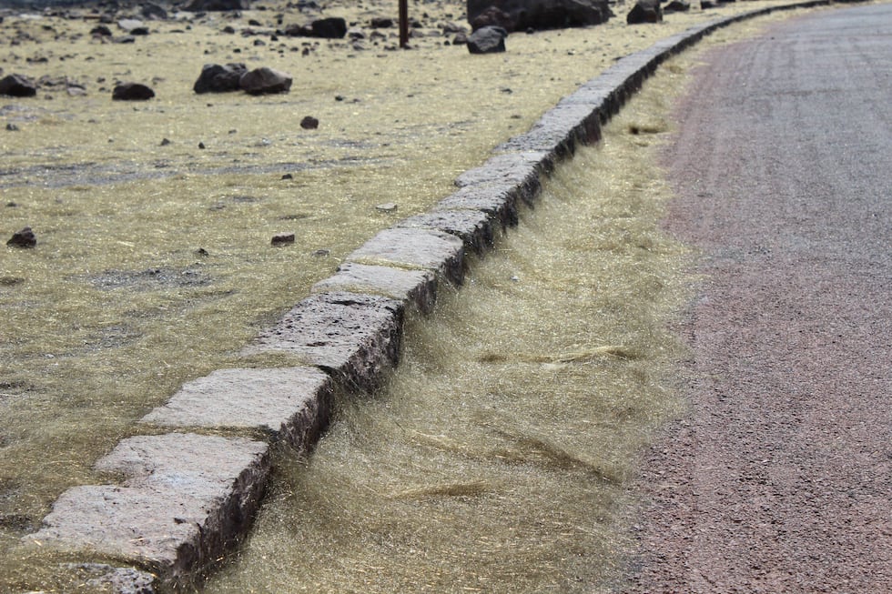 This file photo shows strands of Pele's hair on the ground near Crater Rim Drive (Image:...